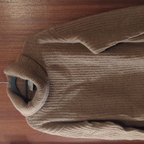 Everlane Alpaca Oversized Turtleneck - Picture 6 of 7